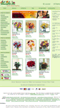 Mobile Screenshot of abilene-florists.flowerpetal.com